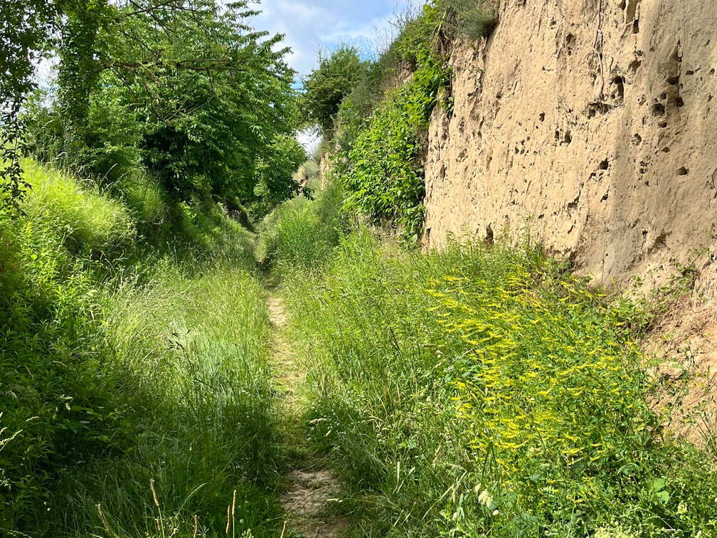 22-06-06 11-43-00 1062